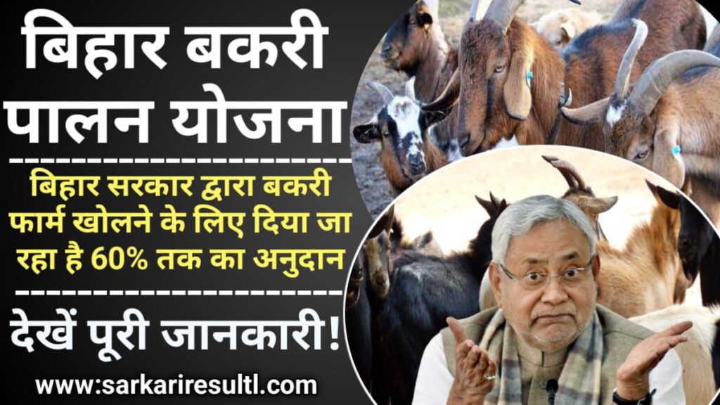Bihar Bakri Palan Yojana 2024: बिहार बकरी पालन योजना, बिहार सरकार द्वारा बकरी फार्म खोलने के लिए 60% तक का अनुदान, Sarkari yojana