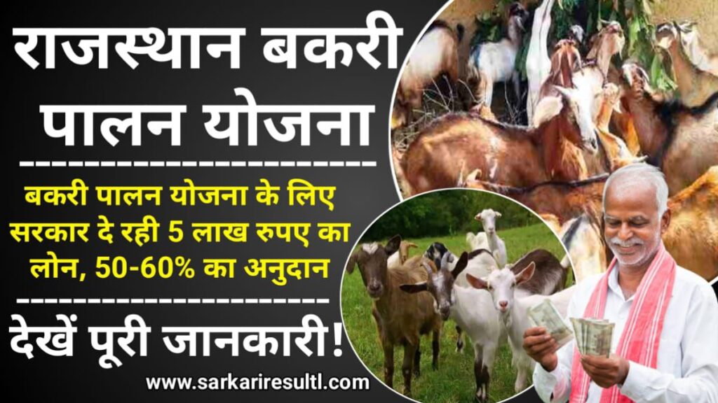 Rajasthan Bakri Palan Yojana 2024: राजस्थान बकरी पालन योजना के लिए सरकार दे रही 5 लाख रुपए का लोन, यहाँ करें आवेदन, Sarkari Yojana